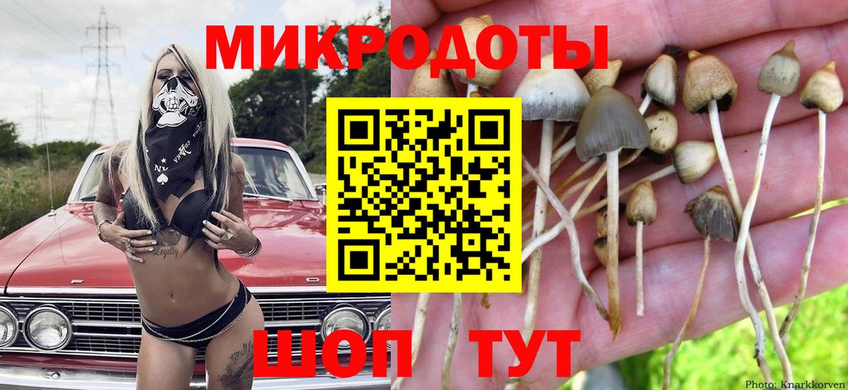 Псилоцибиновые грибы прущие грибы  Вход с VPN  Югорск 